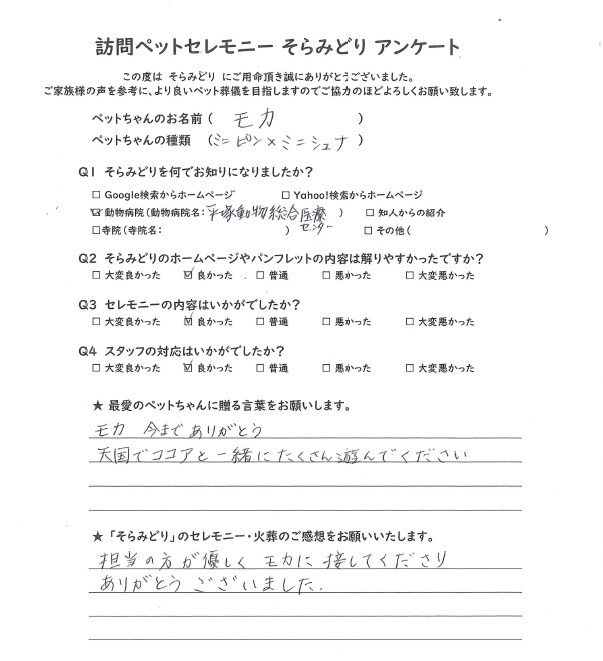 モカちゃん(平塚市)
