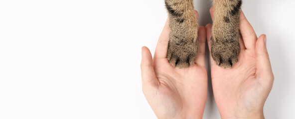 ペット火葬 骨に残る命の証を大切に |訪問ペットセレモニーそらみどりへお任せください |訪問ペットセレモニーそらみどり