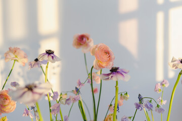 ペット火葬で棺に入れる花の選び方 | 神奈川県平塚市「そらみどり」が大切にすること |訪問ペットセレモニーそらみどり